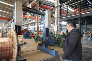 盯緊&ldquo;灰犀牛&rdquo;　預防&ldquo;黑天鵝&rdquo;