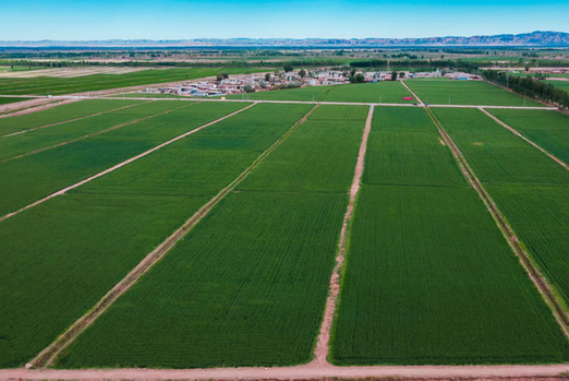 內蒙古五原：綠色發展助力產業跑出&ldquo;加速度&rdquo;