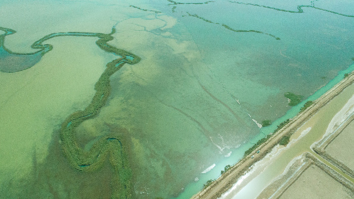鹽湖股份書寫&ldquo;綠色答卷&rdquo;