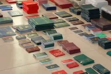 假證制售&ldquo;線下轉線上&rdquo; 亟待進一步打擊懲治