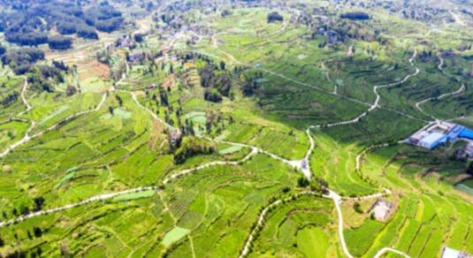 貴州省石阡縣：&ldquo;三力&rdquo;齊發(fā) 激活村級(jí)集體經(jīng)濟(jì)&ldquo;動(dòng)力源&rdquo;