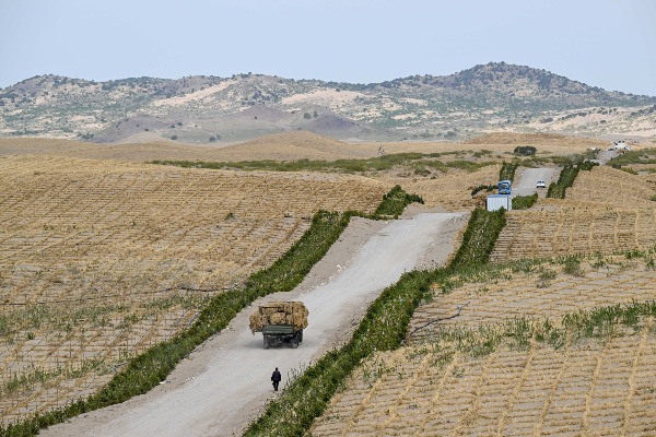 京津最近沙源區覆綠進行時&mdash;&mdash;內蒙古沙地生態治理觀察
