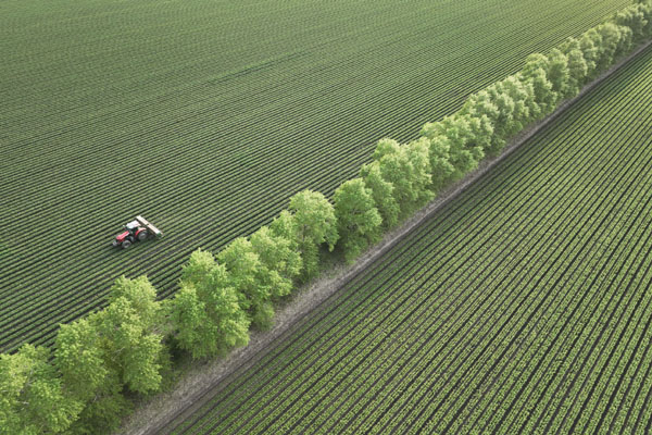&ldquo;糧倉&rdquo;黑龍江：黑土地加強保護　農田提檔升級