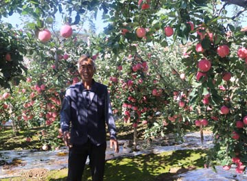 &ldquo;好的不多多的不好&rdquo;困擾蘋果產業