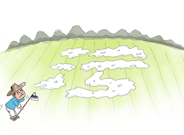 &ldquo;白色污染&rdquo;治理業內人士提出新思路