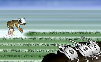 由明轉暗　假劣種子打起&ldquo;游擊戰&rdquo;