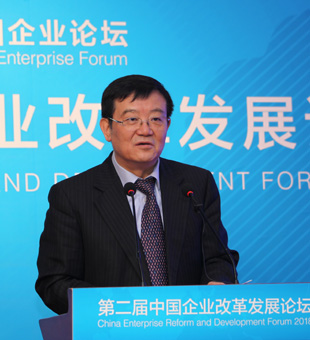 徐樂江：發展混合所有制經濟是激發新動能的重要抓手