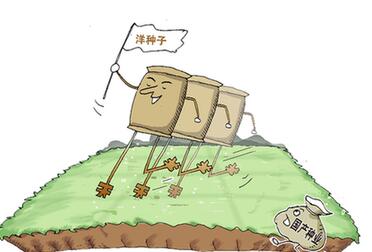 國產種業緣何難育創新&ldquo;種&rdquo;