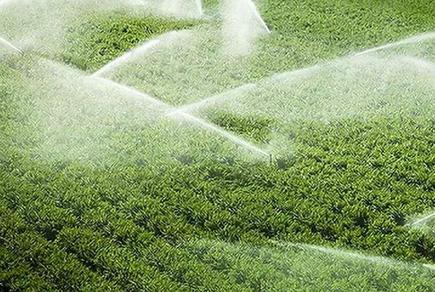 人水矛盾結苦果：多省區地下水超采形成&ldquo;漏斗區&rdquo;