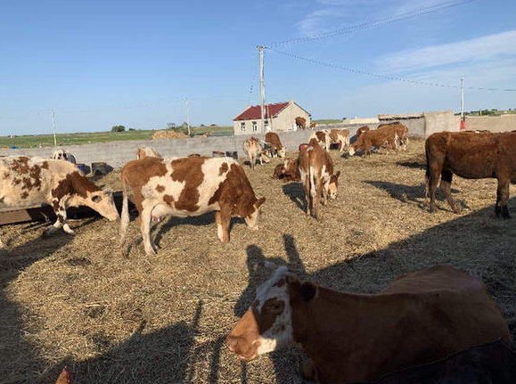 &ldquo;新調整&rdquo;能否終結自然保護區亂象？