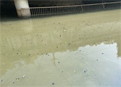 湖北鐘祥：對中央環(huán)保督察重點交辦件&ldquo;虛整改&rdquo;&ldquo;真銷號&rdquo;