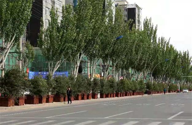 地方&ldquo;拍腦門&rdquo;造綠欠下巨債　 企業墊資種樹被拖垮